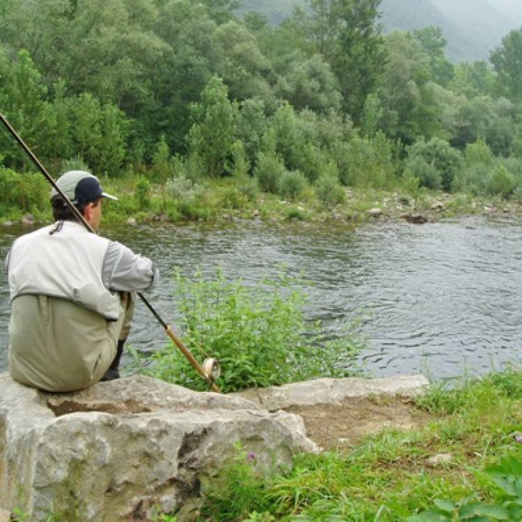 PARTE SALMONERO DOMINGO 10/07/2022