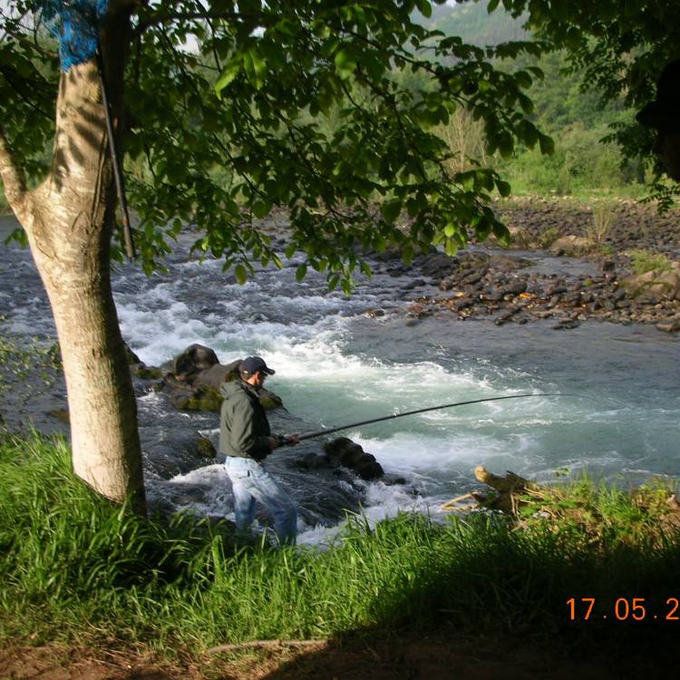 NORMATIVA PESCA ASTURIAS TEMPORADA 2024