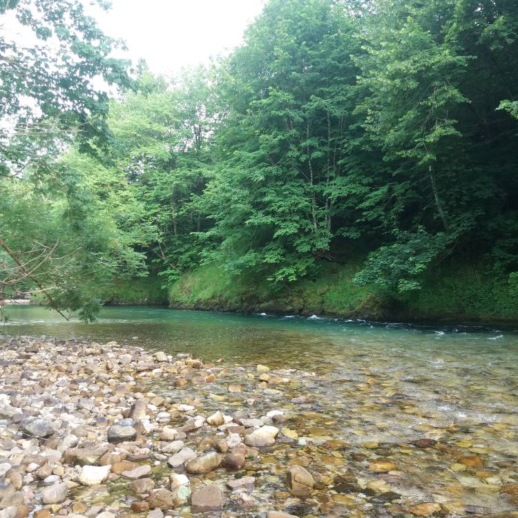 Clausura del paso por algunas pasarelas de pescadores en ríos salmoneros