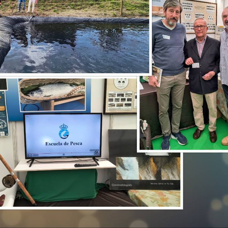 FERIA DEL SALMON CORNELLANA 2026-CAPENASTUR