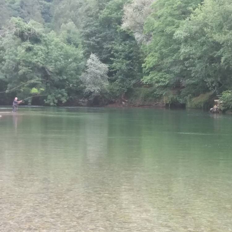 PARTE SALMONERO 24 ABRIL 2026