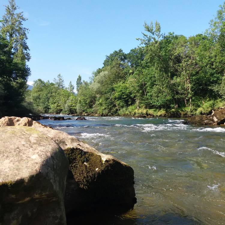 PARTE SALMONERO 20 MAYO 2026. CAMPANU DEL NARCEA
