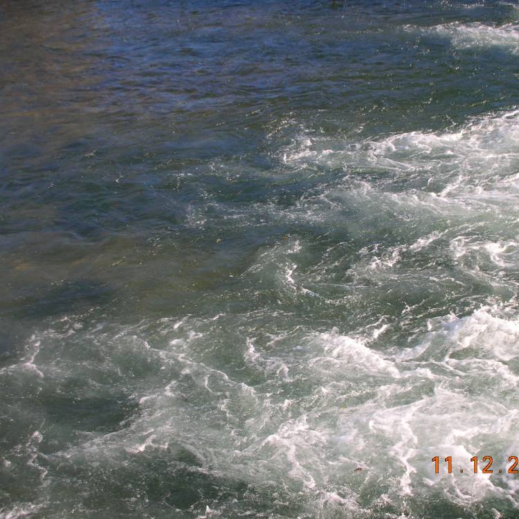 NORMAS PARA EL EJERCICIO DE LA PESCA EN AGUAS CONTINENTALES DEL PRINCIPADO TEMPORADA 2021