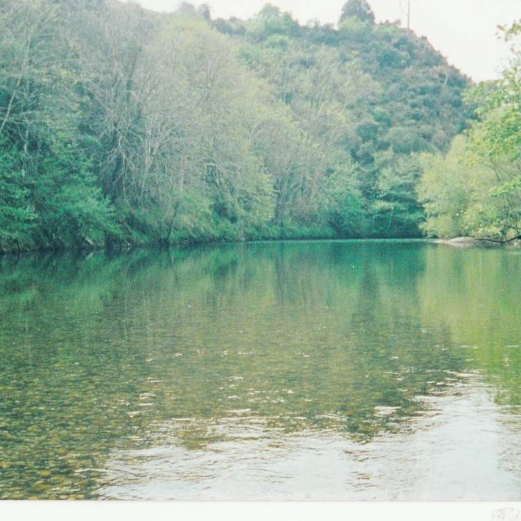 RESUMENTE LAS 8 PRIMERAS JORNADAS DE PESCA CON MUERTE 2021